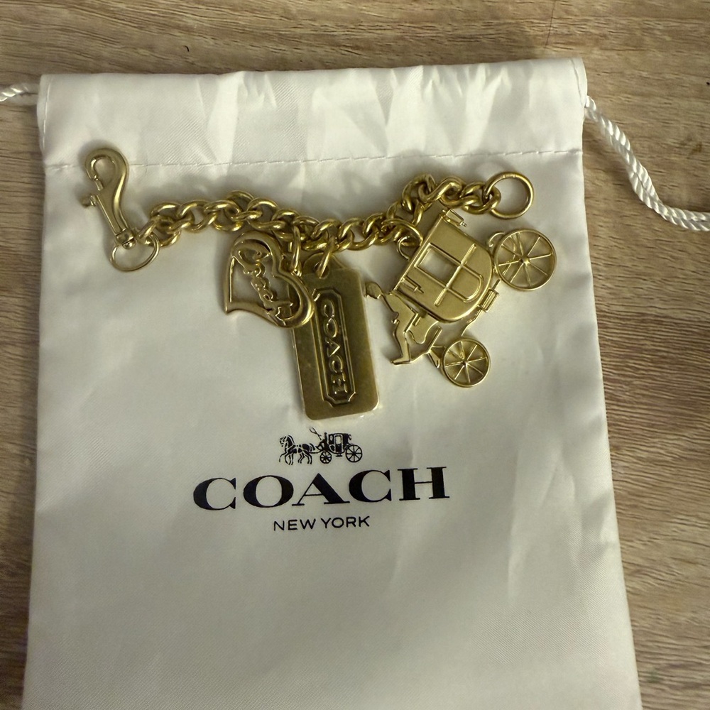 Coach chain for purse strap